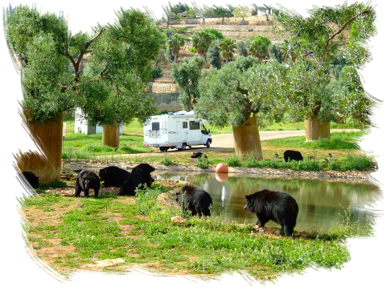 Visita a Zoo Safari di Fasano Hotel 2 Mari Vieste