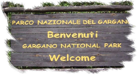 Escursioni nel Parco Nazionale del Gargano Hotel 2 Mari Vieste